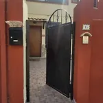 Kokky's Su Forti